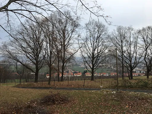 Bild von Lugturm
