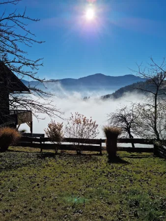 Bild von Karin Pacher