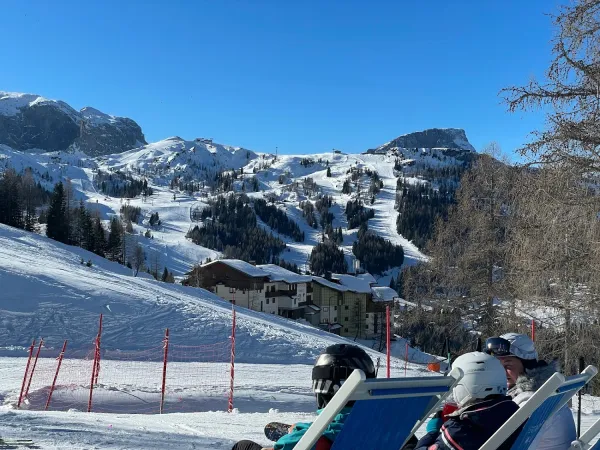 Bild von Martin Forisch