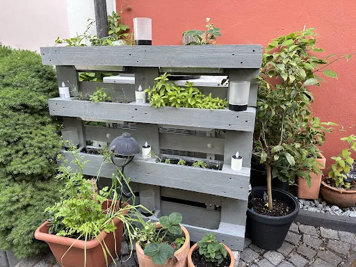 Bild von Gaststätte Zur Apotheke