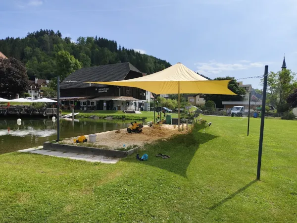 Bild von Tami Scherz