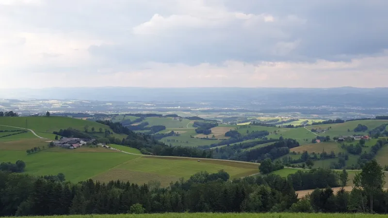 Bild von vincent adam