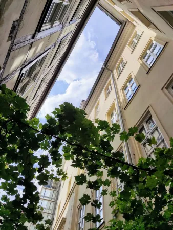 Bild von undefined