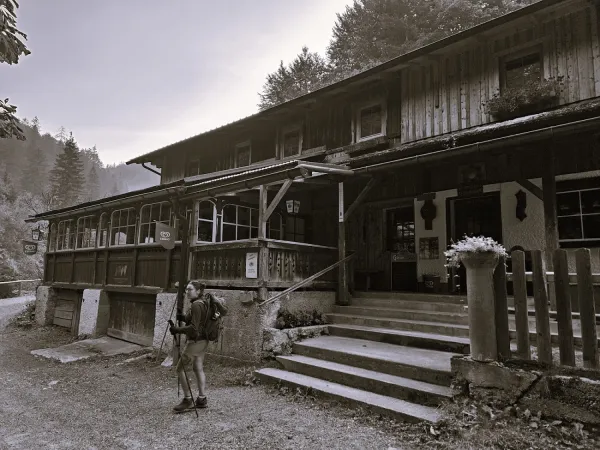 Bild von Günter Siegl