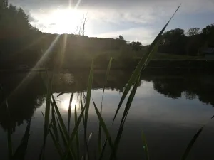 Fischertreff Laasen