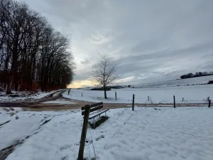 Plütscheid