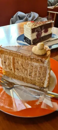 Bild von Karin Schwaiger