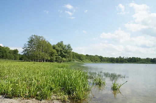 Bild von Kanucenter Preetz-Plön und Fahrradvermietung