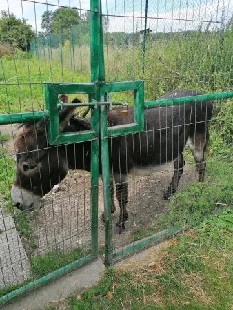 Bild von Christine Berghammer