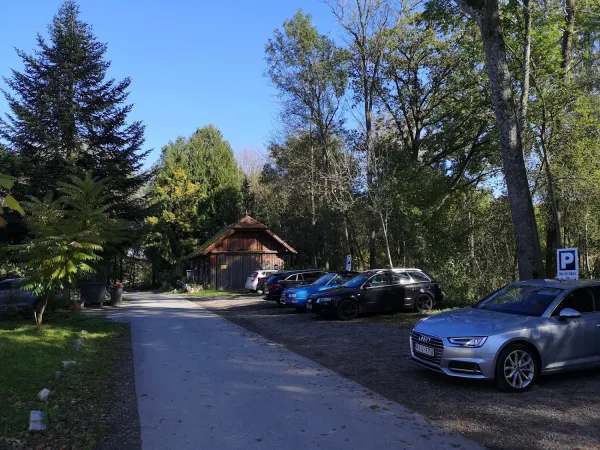 Bild von Balics Ákos