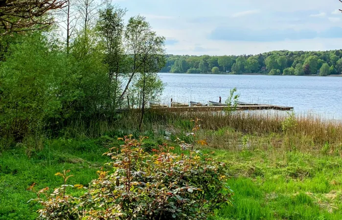 Bild von undefined
