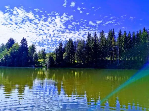 Bild von Michael Dangl