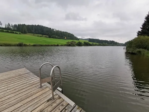 Bild von Michael Dangl