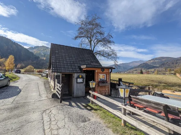 Bild von T P