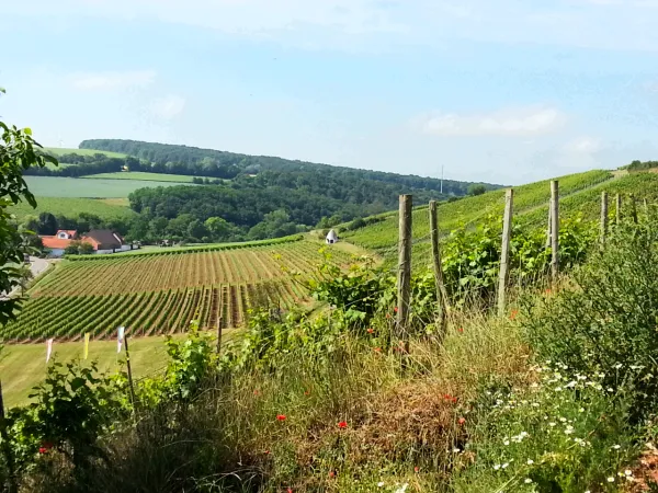 Bild von undefined