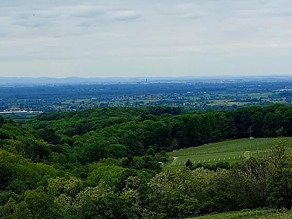 Bild von undefined