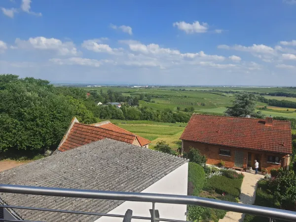 Bild von undefined