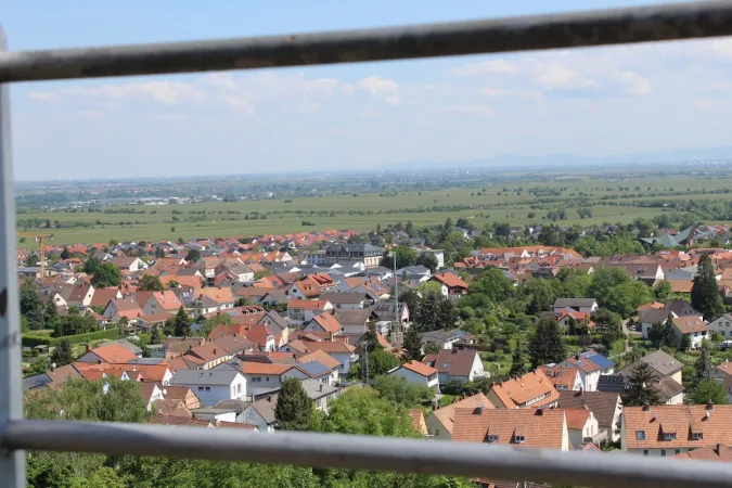 Bild von undefined
