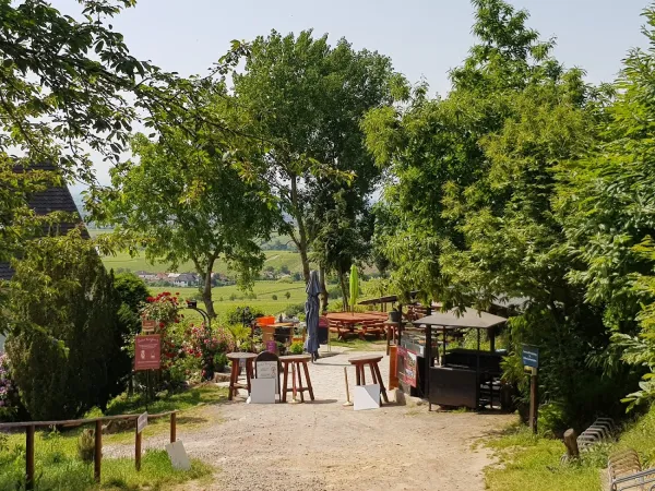 Bild von undefined