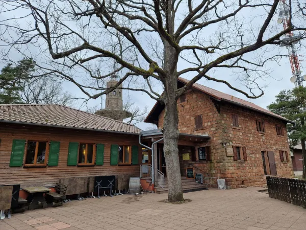 Bild von undefined