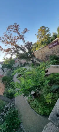 Bild von Schloss Deidesheim