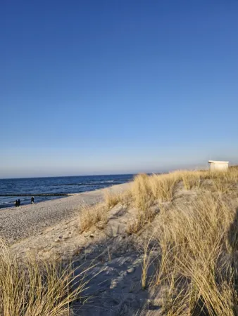 Bild von undefined