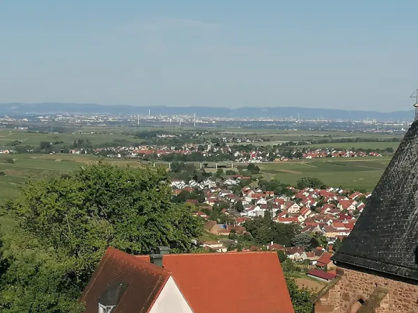 Bild von undefined