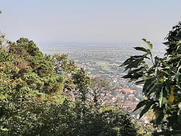 Bild von undefined