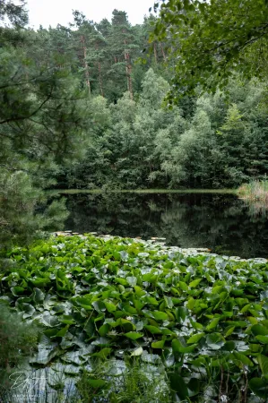 Bild von undefined