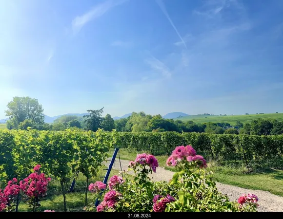 Bild von undefined