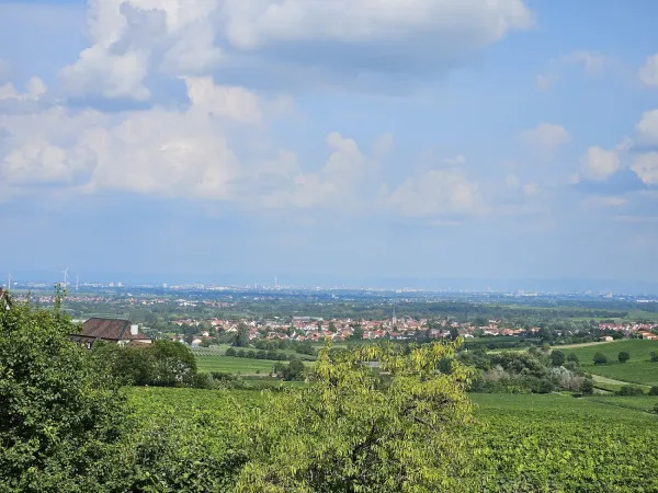 Bild von undefined