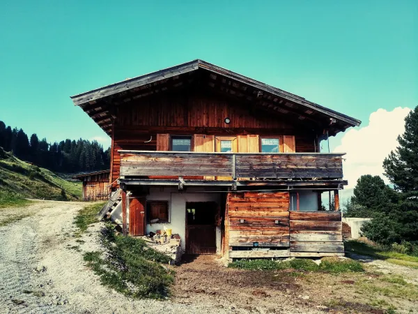 Bild von Söggenalm - Zellberg