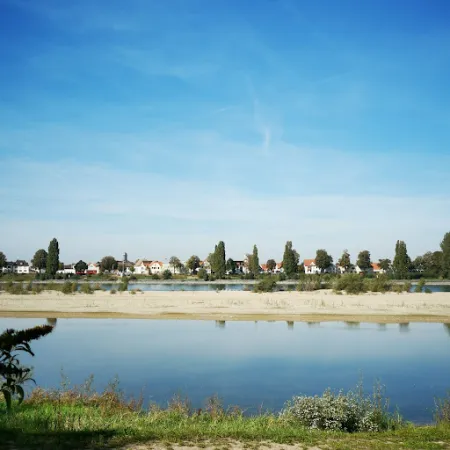 Bild von Zur Rheinfähre Nordheim