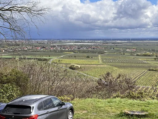 Bild von Waldgaststätte Pfalzblick
