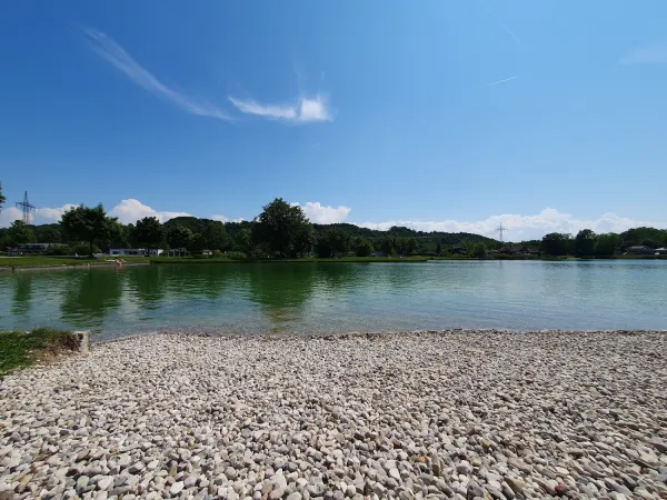 Bild von Regina W.