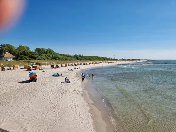 Bild von undefined