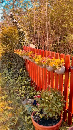 Bild von undefined