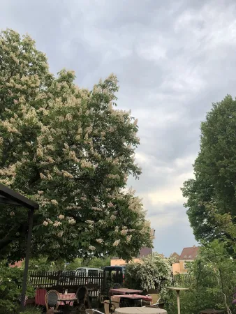 Bild von undefined