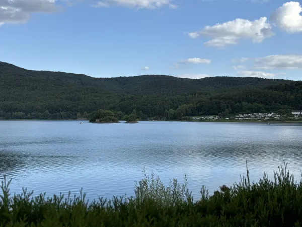 Bild von undefined