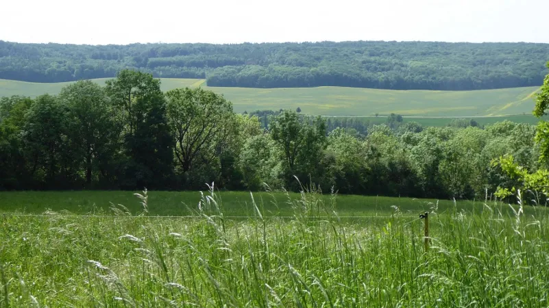 Bild von undefined