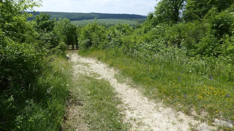 Bild von undefined