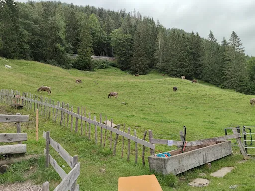 Bild von Alpe Topfen