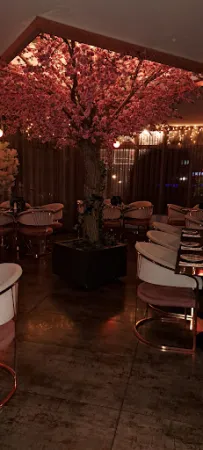 Bild von Noa Garden Restaurant & Lounge