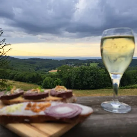 Bild von michaela schober