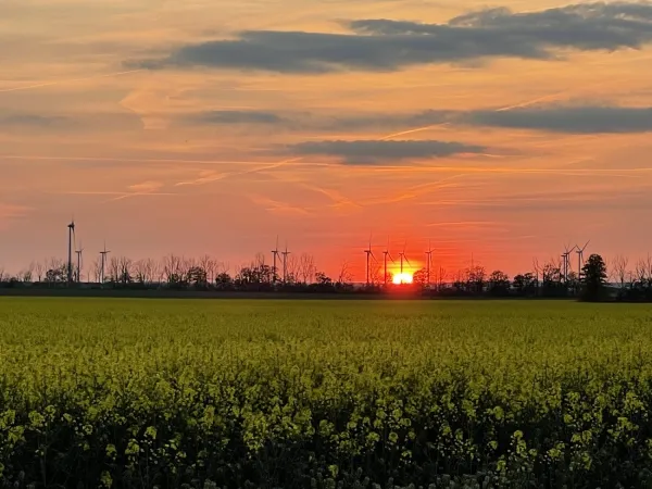 Bild von undefined