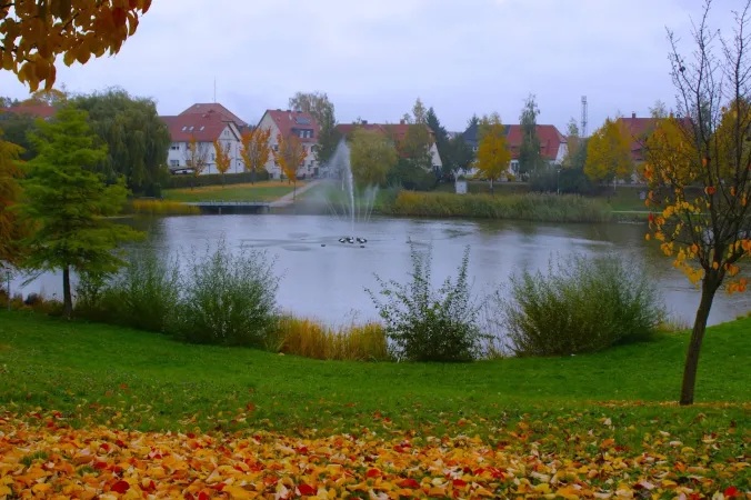 Bild von undefined