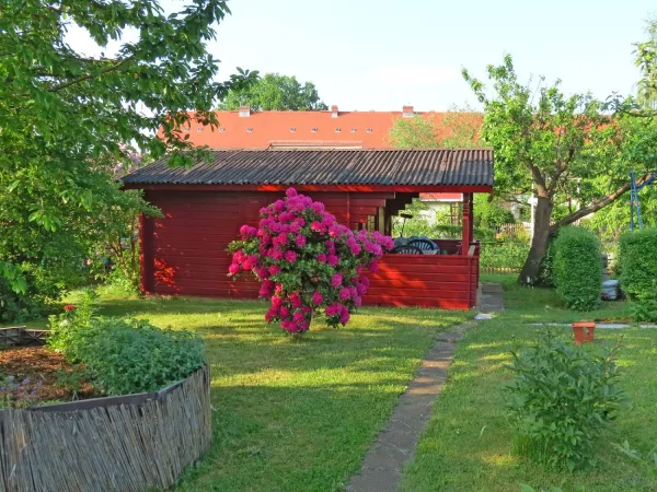 Bild von undefined