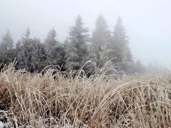 Bild von undefined