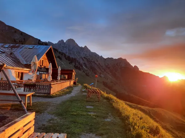 Bild von Lechaschauer Alm