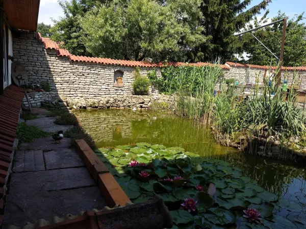 Bild von undefined